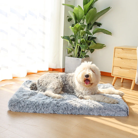 Coussin Orthopédique pour Chien OrthoPaw™| PetLuv