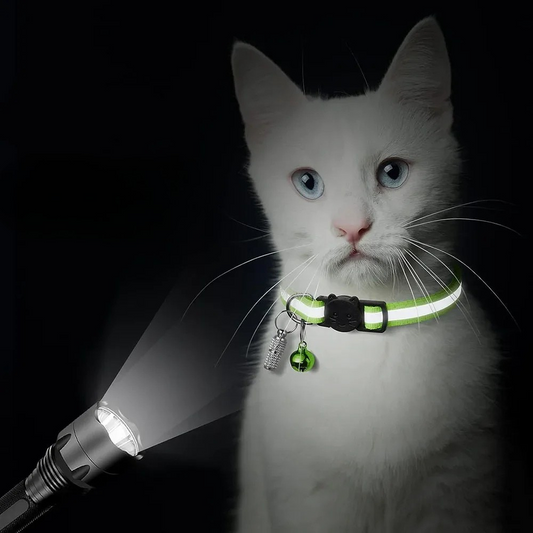 Collier Réfléchissant pour Chat