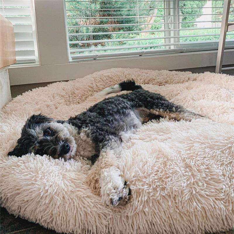 PetLuv™ - Coussin Anti-Stress Pour Chien