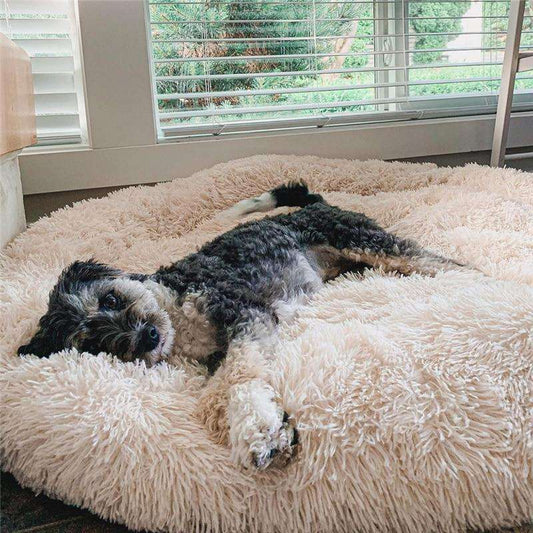 Coussin Anti-Stress Pour Chien SweetPaw™ - PetLuv