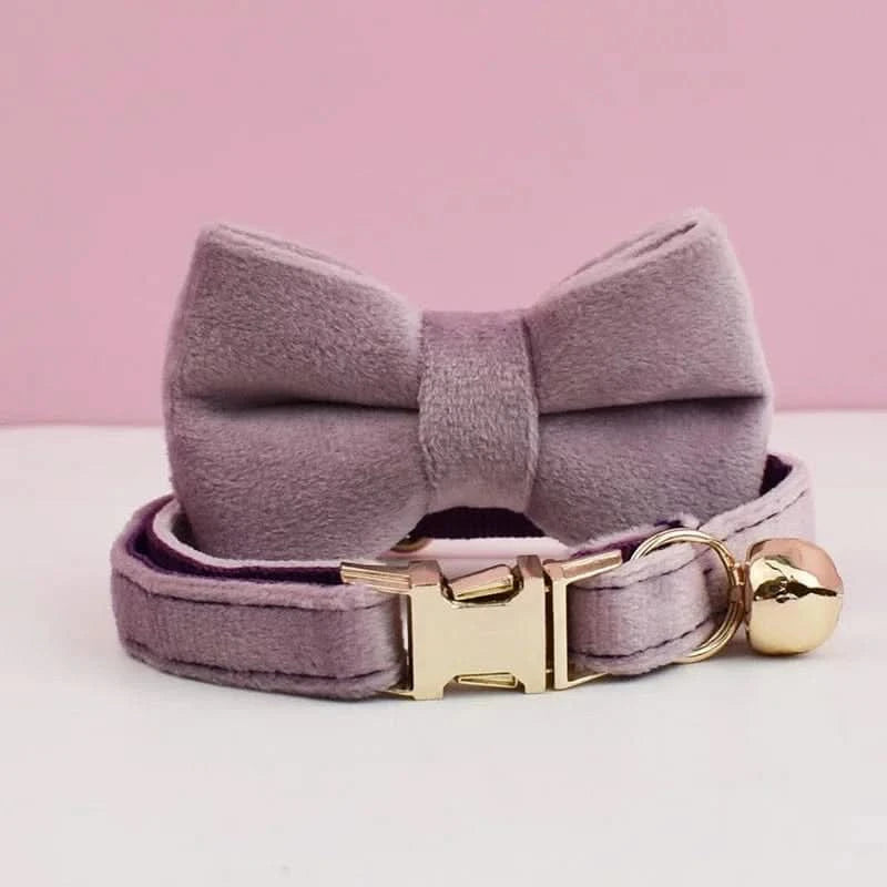 Collier pour Chat - Velour