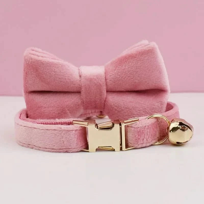Collier pour Chat - Velour