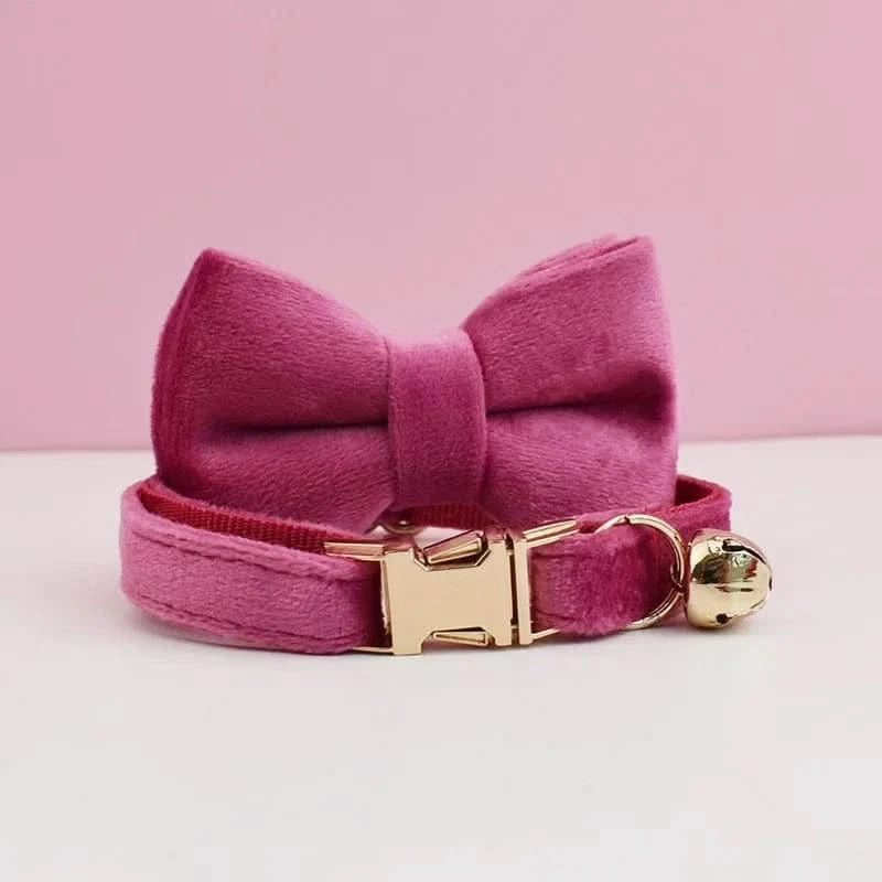 Collier pour Chat - Velour