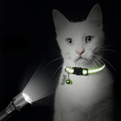 Collier Réfléchissant Chat - Sécurité et Élégance | PetLuv.ch
