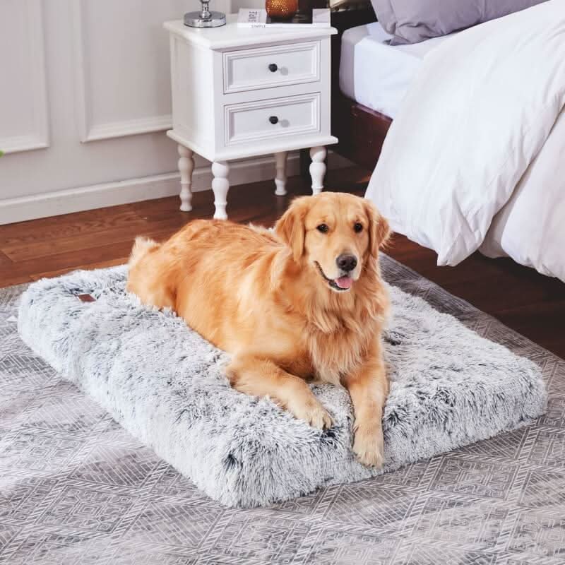 Coussin Orthopédique pour Chien OrthoPaw™ - PetLuv