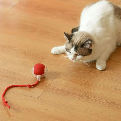 SmartBall™ Interactive Petluv
