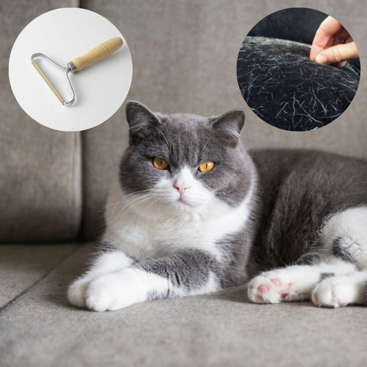 🎁 Katzenhaarbürste | CleanBrush™