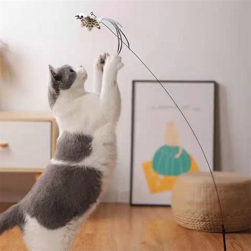 Jouet pour chat canne à pêche | KittyBird™