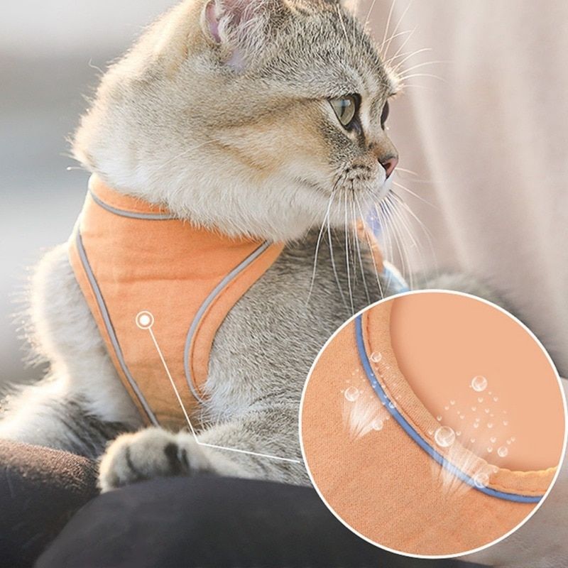 Harnais pour chat | KittyVest™