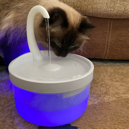 Fontaine à eau pour chat | KittyFalls™