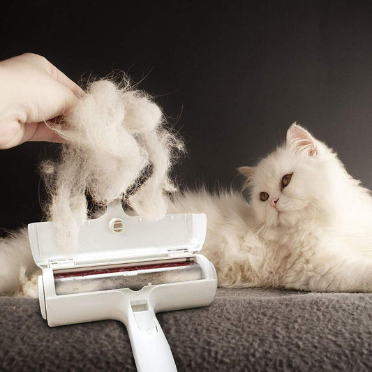 Brosse pour poils de chat | MagicBrush™