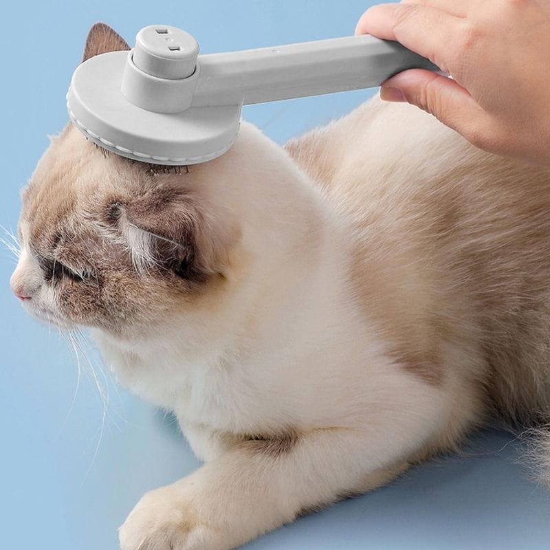 Brosse pour chat | KittyBrush™