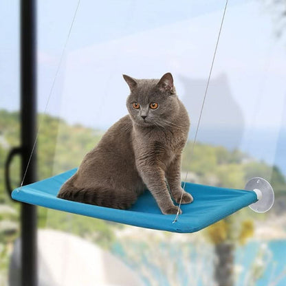 Hamac de fenêtre pour chat | CatMock™ Bleu Roi