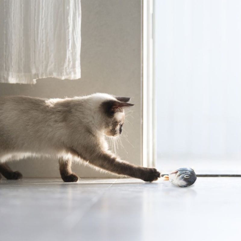 Jouet poisson pour chat | Merlux™