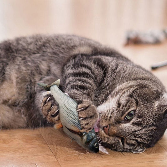 Jouet poisson pour chat | Merlux™