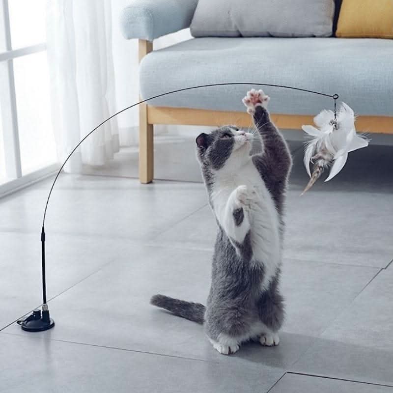 Jouet pour chat canne à pêche | KittyBird™