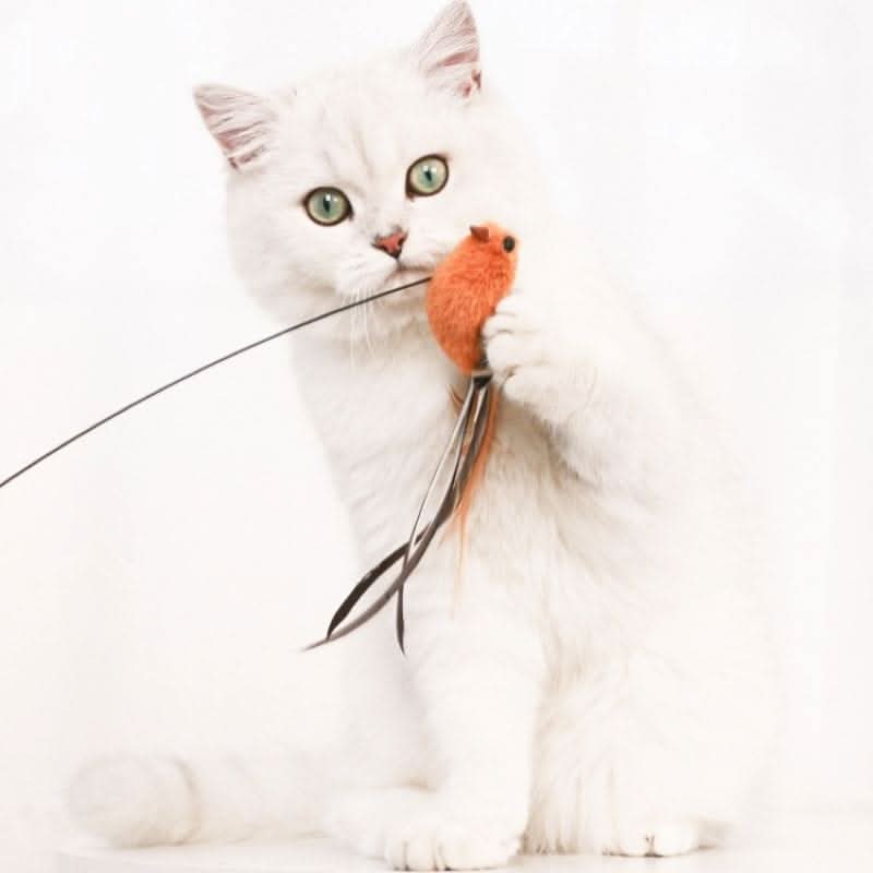 Jouet pour chat canne à pêche | KittyBird™