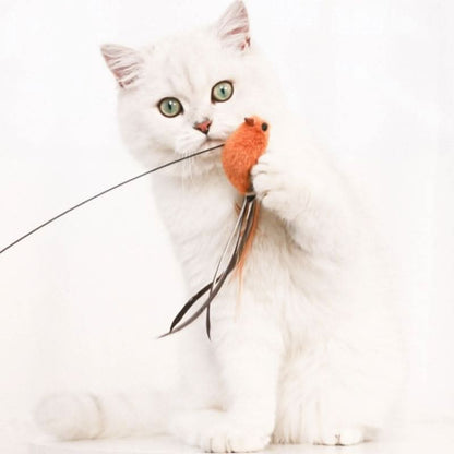 Jouet pour chat canne à pêche | KittyBird™